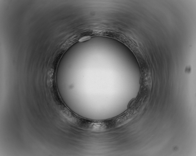 X0000098050275200804111320