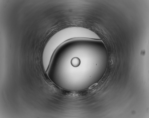 X0000098050276200804111320