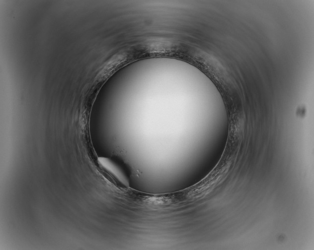 X0000098050277200804111320