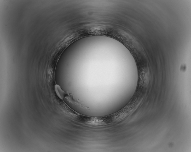 X0000098050278200804111320