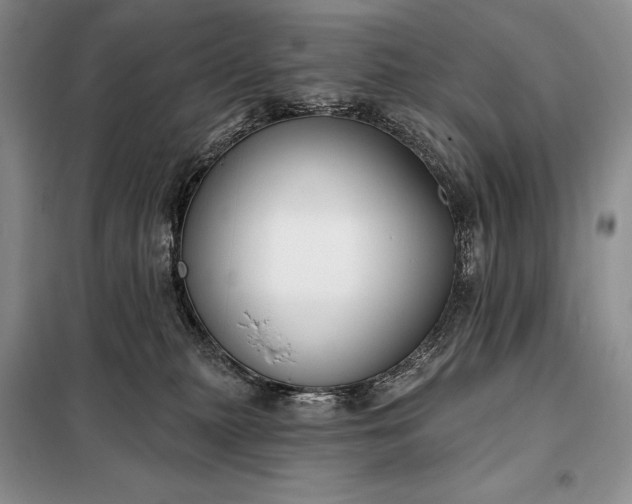 X0000098050279200804111320