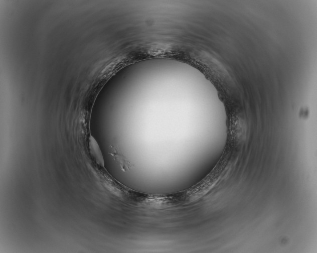 X0000098050280200804111320