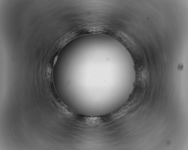 X0000098050281200804111320