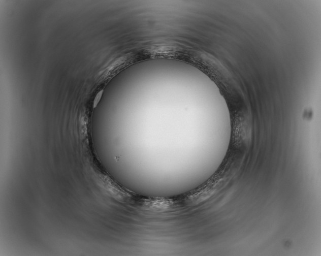 X0000098050282200804111320