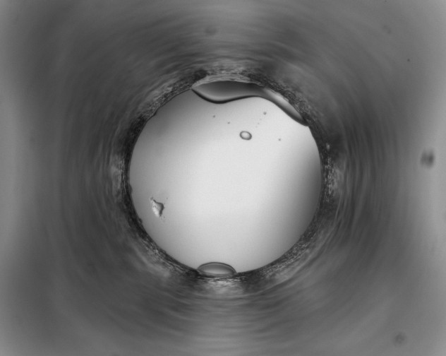 X0000098050283200804111320