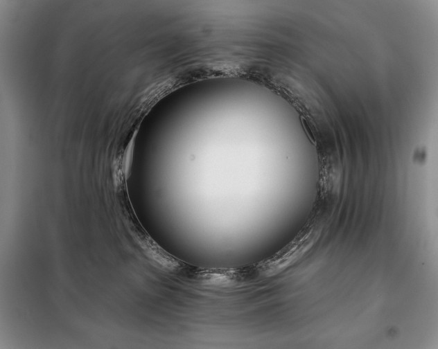 X0000098050285200804111320