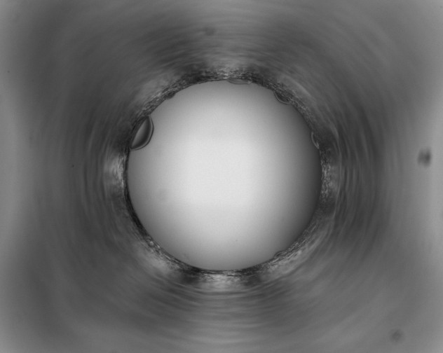 X0000098050286200804111320