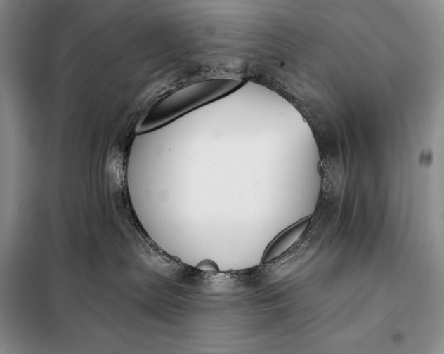 X0000098050287200804111320