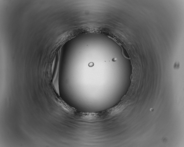 X0000098050288200804111320