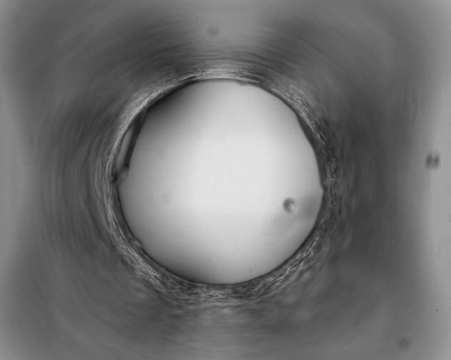 X0000098050289200804111320