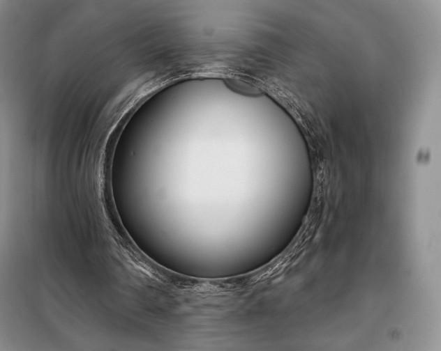 X0000098050290200804111320