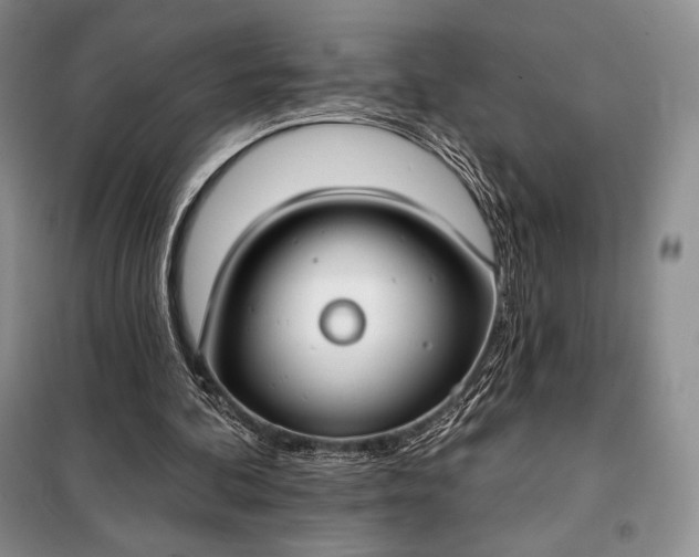 X0000098050292200804111320