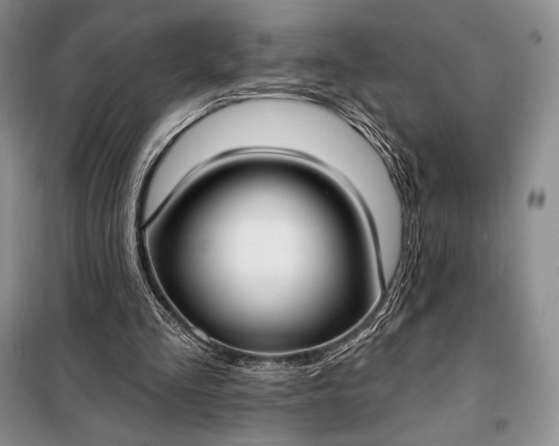 X0000098050293200804111320