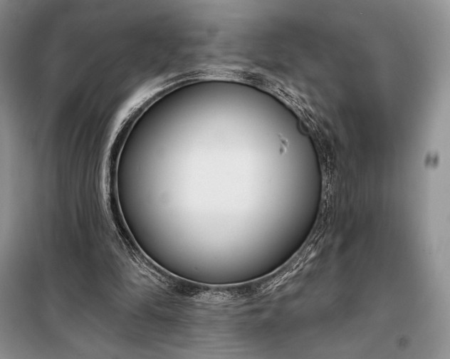 X0000098050294200804111320