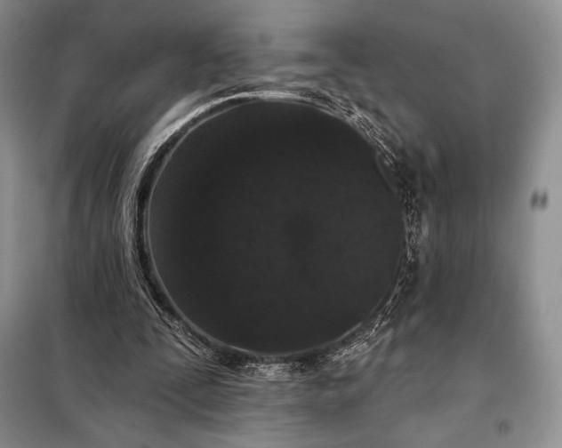 X0000098050295200804111320