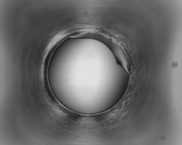 X0000098050296200804111320