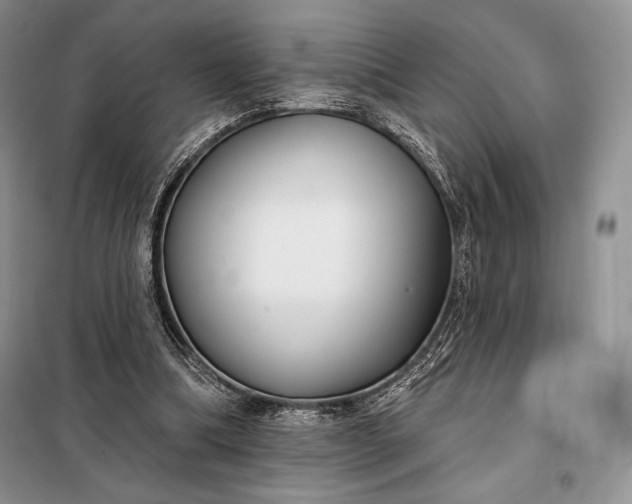 X0000098050298200804111320