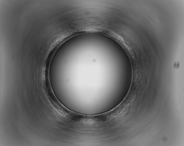 X0000098050299200804111320