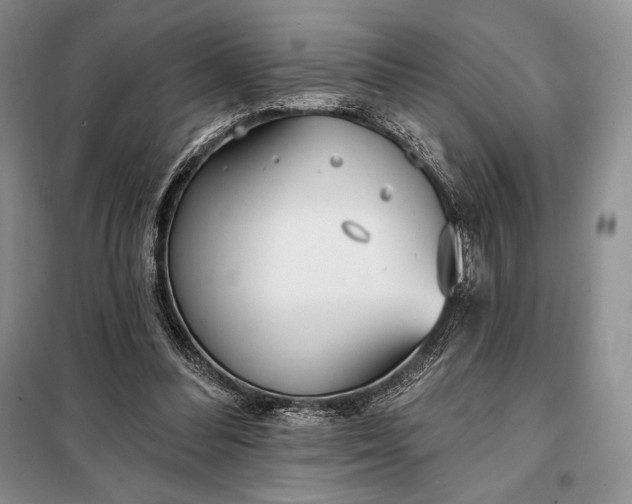 X0000098050300200804111320