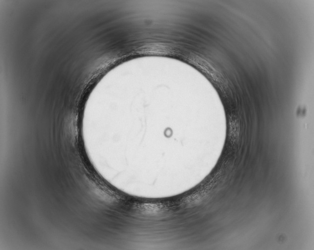 X0000098050302200804111319