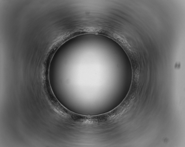 X0000098050303200804111319