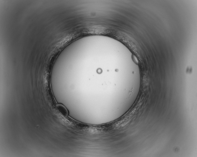 X0000098050305200804111319