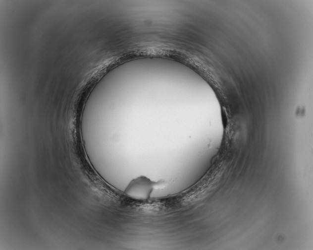 X0000098050306200804111319