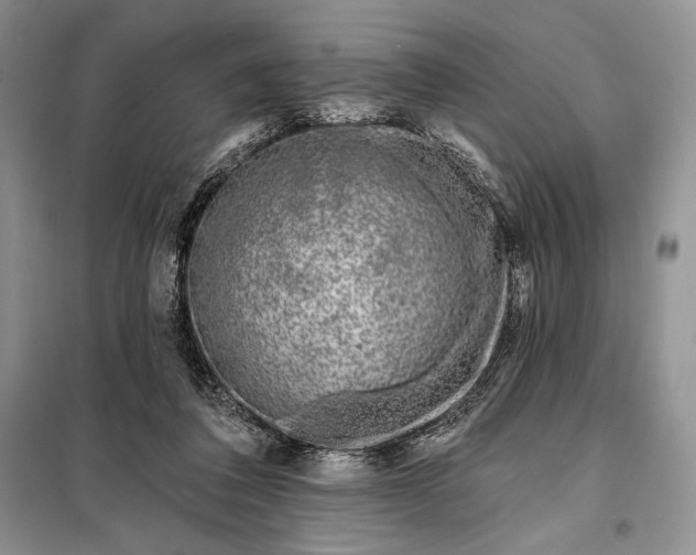 X0000098050308200804111319