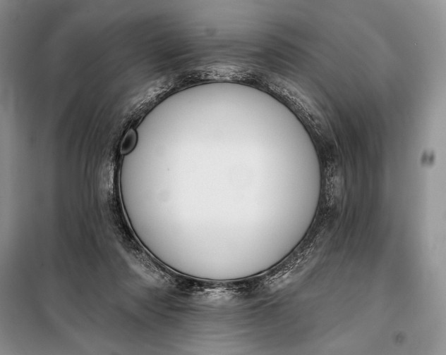 X0000098050310200804111319