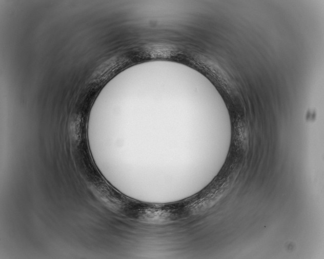 X0000098050311200804111319