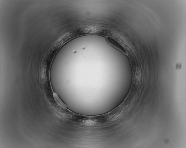 X0000098050312200804111319