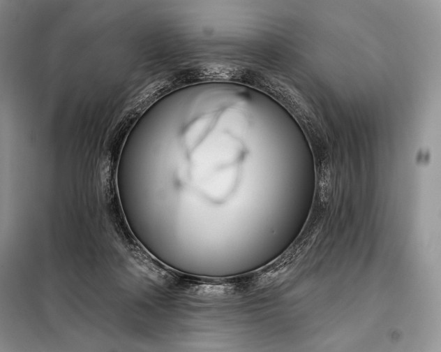 X0000098050314200804111319