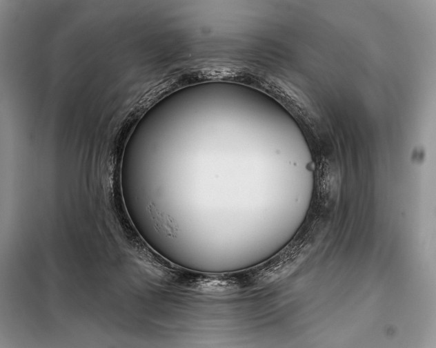 X0000098050315200804111319