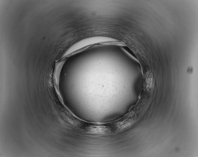 X0000098050316200804111319