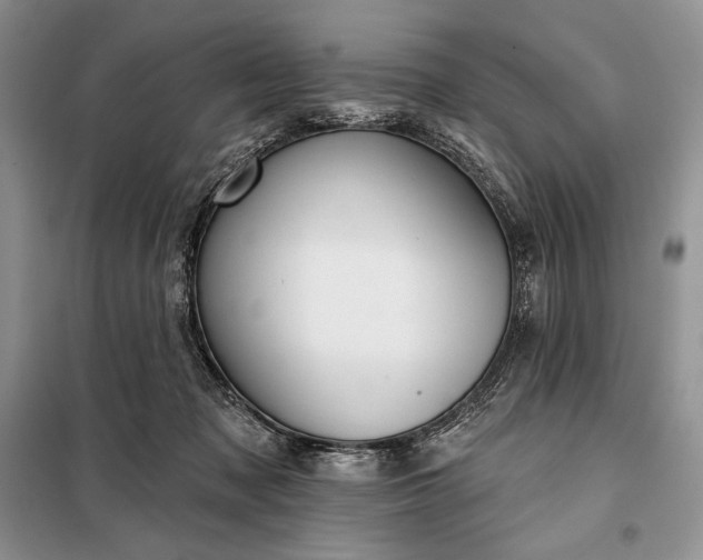 X0000098050317200804111319