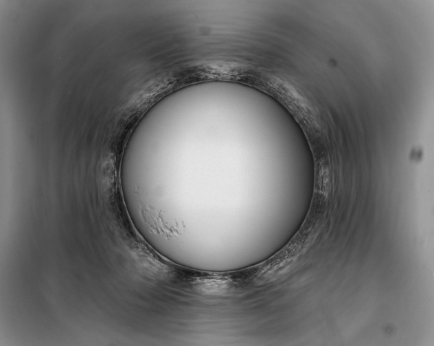 X0000098050318200804111319