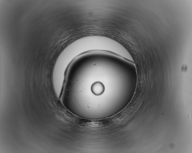 X0000098050320200804111319