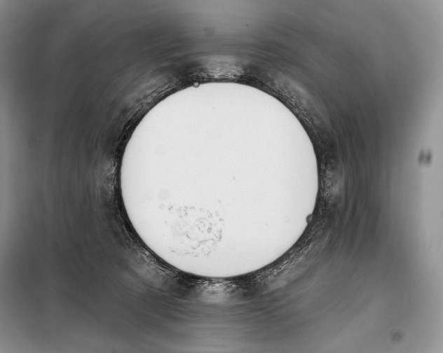 X0000098050321200804111319