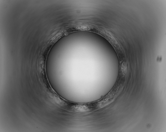 X0000098050322200804111319