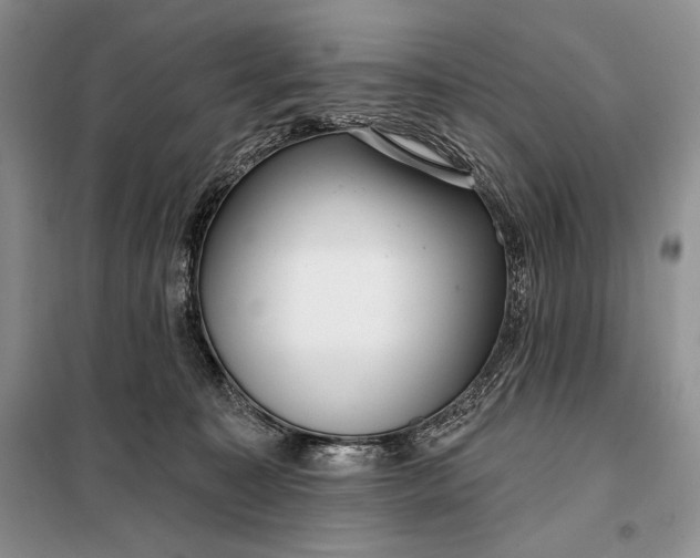 X0000098050323200804111319