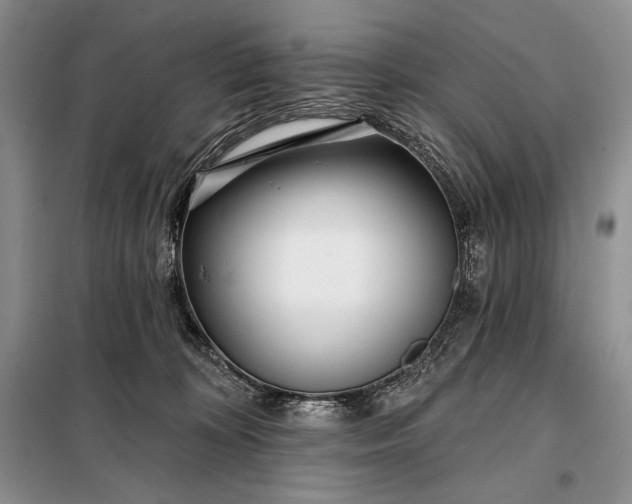 X0000098050324200804111319