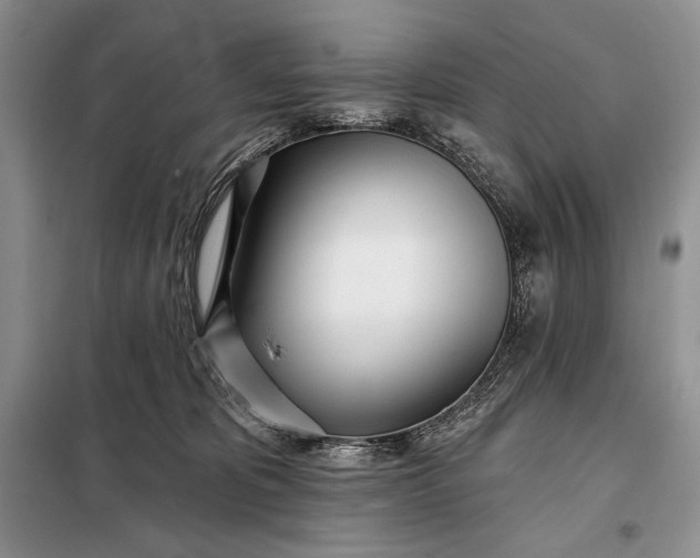 X0000098050325200804111319