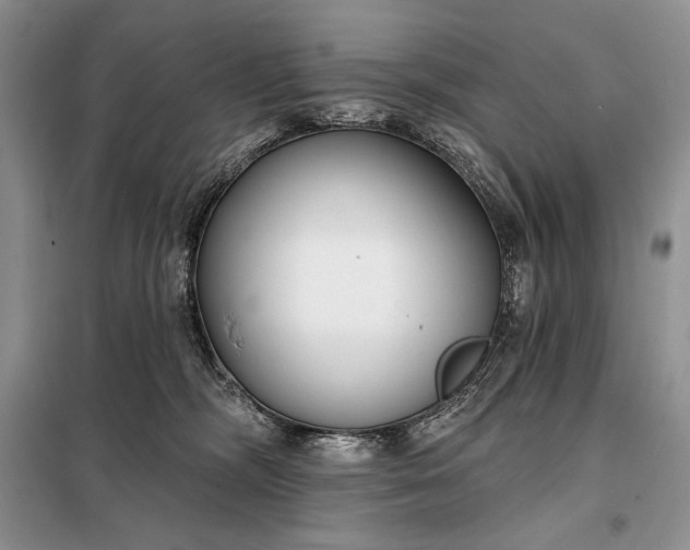 X0000098050326200804111319