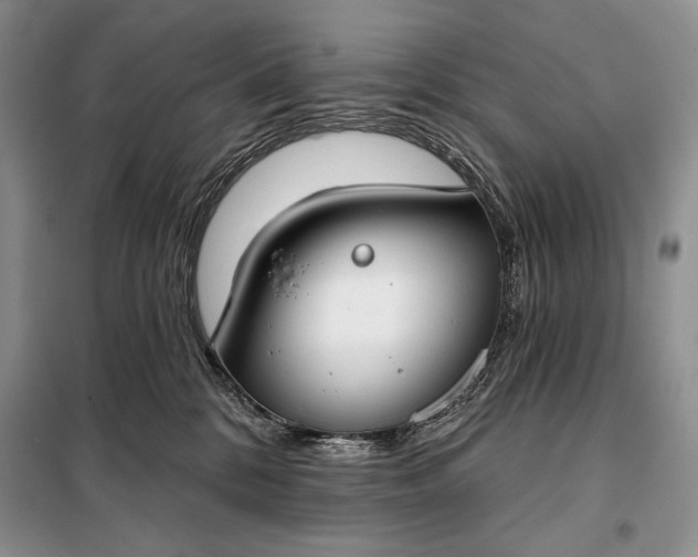 X0000098050328200804111319