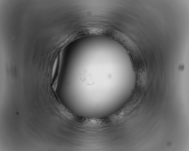 X0000098050329200804111319