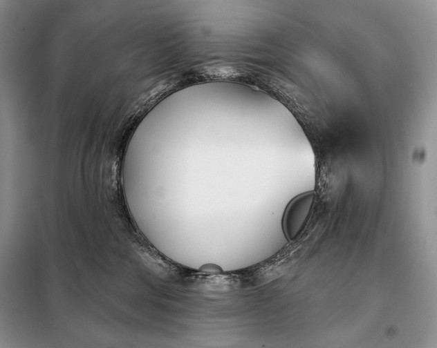 X0000098050330200804111319