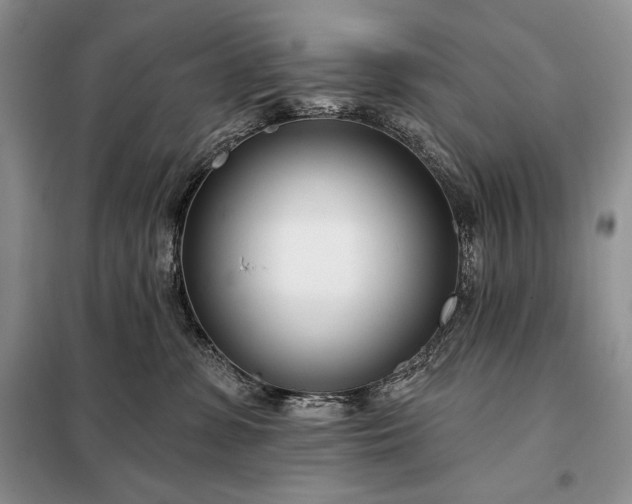 X0000098050331200804111319