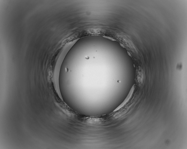 X0000098050332200804111319