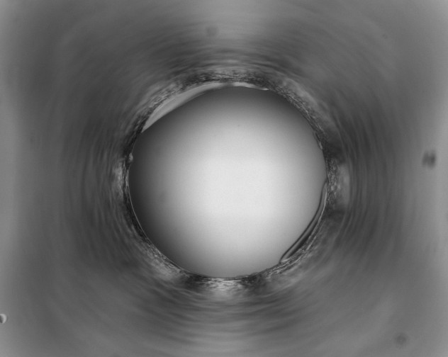 X0000098050333200804111319