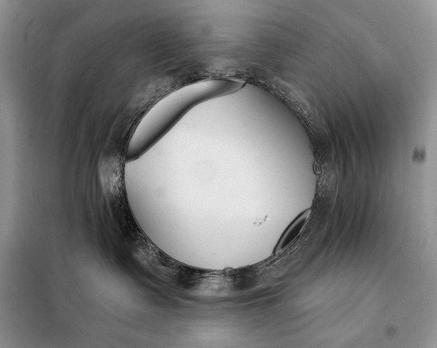 X0000098050335200804111319